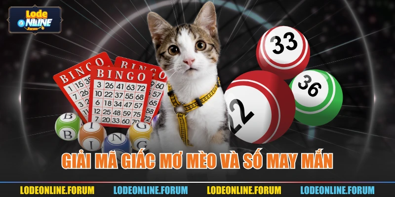 Giải mã giấc mơ mèo và số may mắn