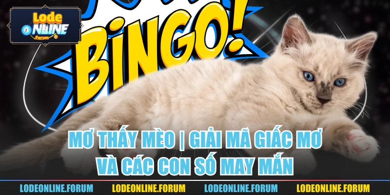 Mơ Thấy Mèo | Giải Mã Giấc Mơ Và Các Con Số May Mắn