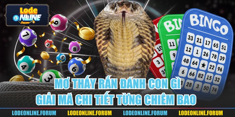 Mơ Thấy Rắn Đánh Con Gì | Giải Mã Chi Tiết Từng Chiêm Bao