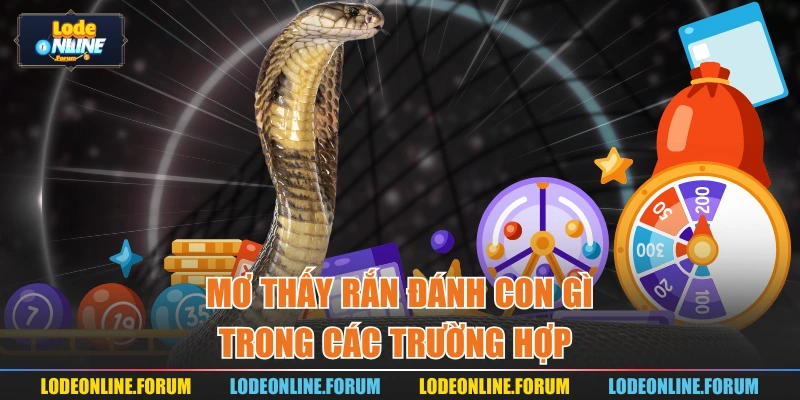 Mơ thấy rắn đánh con gì trong các trường hợp 