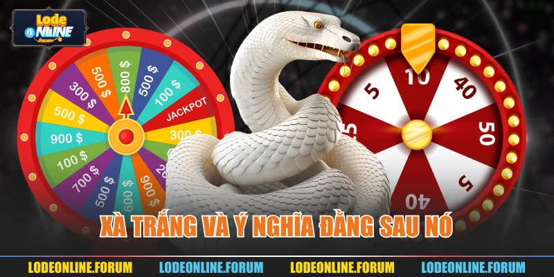 Xà trắng và ý nghĩa đằng sau nó 