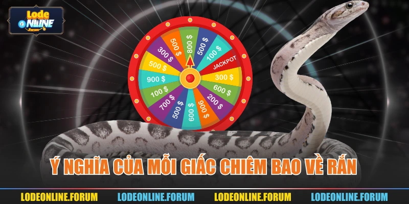 Ý nghĩa của mỗi giấc chiêm bao về rắn 